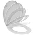 Images with transparent background (Default view) 3