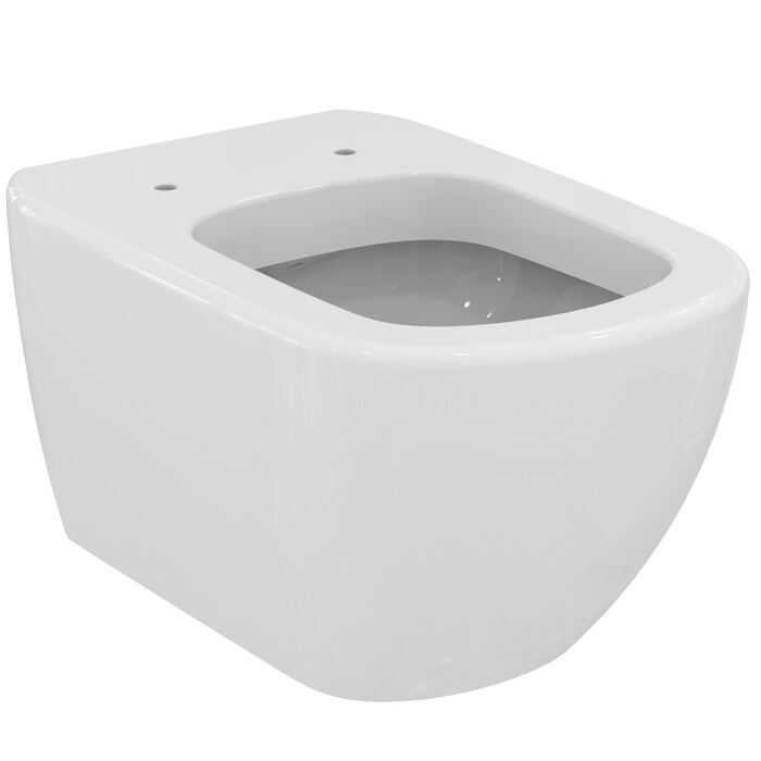 TESI | Wall-hung bowl 360x530x335 mm, Washdown, CL1 full flush 4.5 - 6 L, horizontal outlet